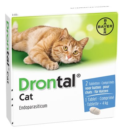 bayer drontal ontworming kat-1
