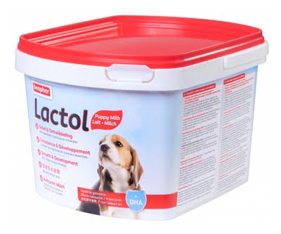 beaphar lactol puppy milk-1