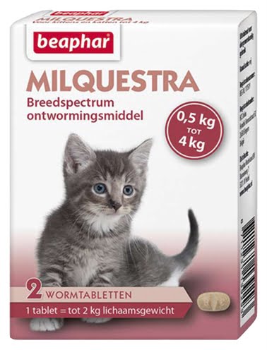beaphar milquestra kleine kat / kitten-1