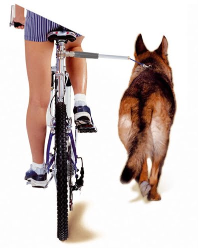 camon walky dog fietsbeugel-1
