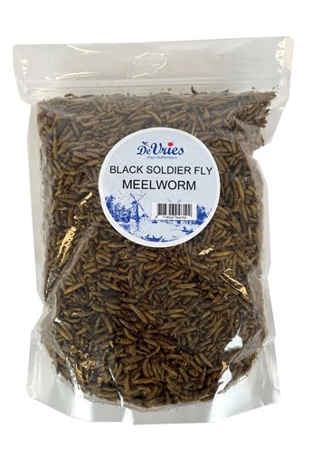 de vries meelworm black soldier fly-1