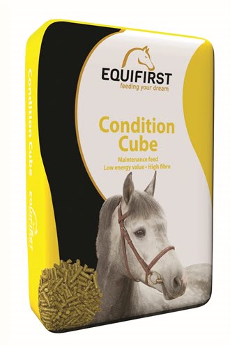 equifirst condition cube-1