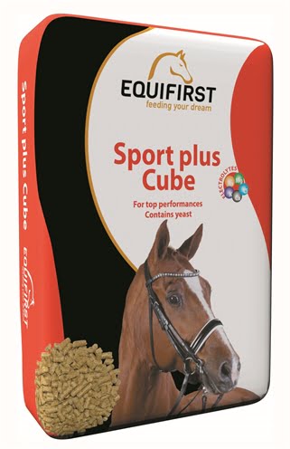equifirst sport plus cube-1