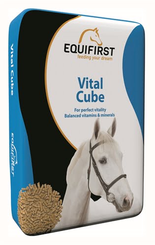 equifirst vital cube-1