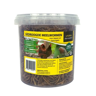 gedroogde meelwormen-1