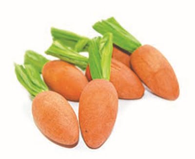 happy pet carrot nibblers knaaghout-1