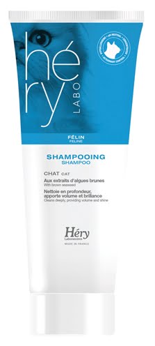 hery shampoo kat-1