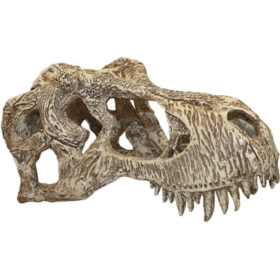 komodo t-rex schedel-1