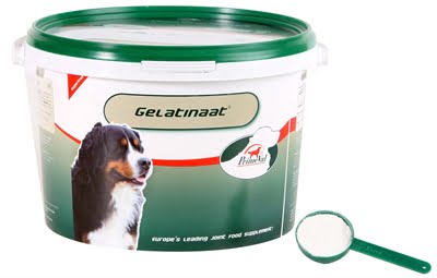 primeval gelatinaat hond-1