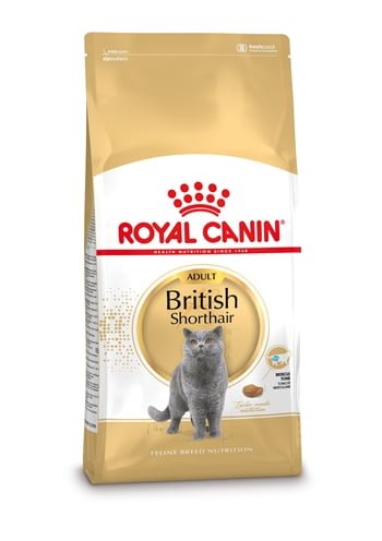 royal canin british shorthair-1