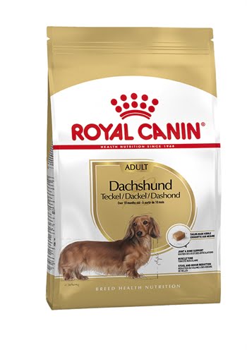 royal canin dachshund / teckel adult-1