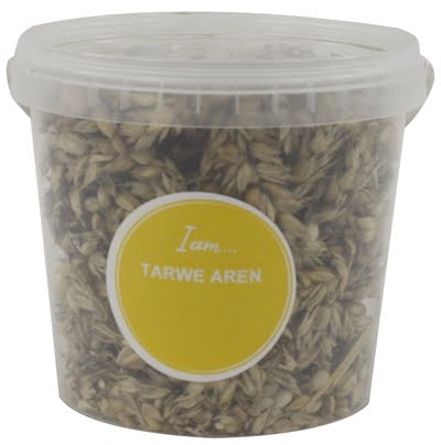 tarwe aren-1