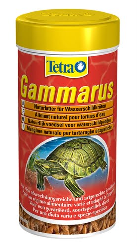 tetra gammarus schildpadvoer-1