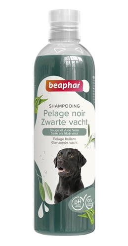 beaphar shampoo hond zwarte vacht-1