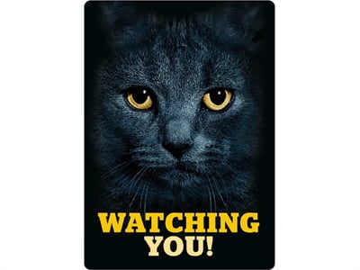 plenty gifts waakbord blik zwarte kat watching you-1