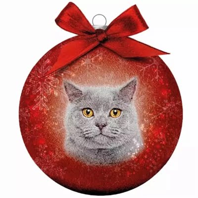 plenty gifts kerstbal frosted grijze kat rood-1