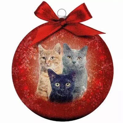 plenty gifts kerstbal frosted katten rood-1