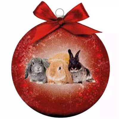plenty gifts kerstbal frosted konijnen rood-1