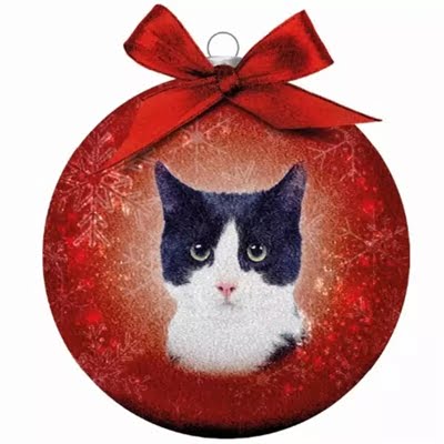 plenty gifts kerstbal frosted zwart / witte kat rood-1