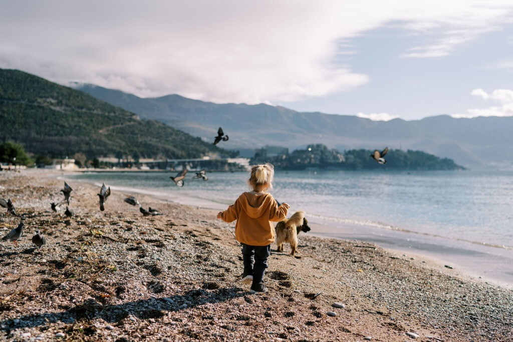 Little girl is walking along a pebbly beach with a fluffy dog. Back view